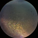 5FFB5FE0-41F2-433D-B6E1-8BDBEDC0F25B