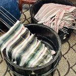 842EF424-2212-4D2A-BA78-43BE51748796